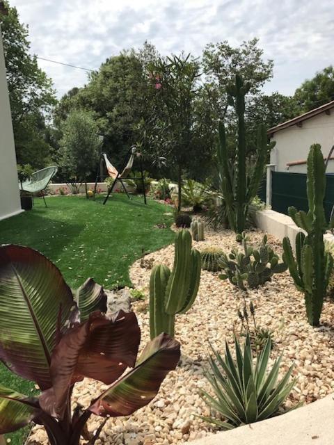 Villa Oha Close Cannes,Nice, Valbonne , Opio โรกฟอร์-เลส์-แปงส์ ภายนอก รูปภาพ