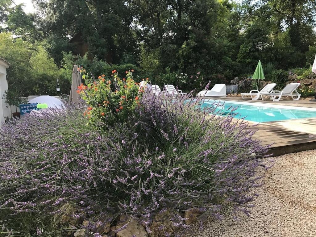 Villa Oha Close Cannes,Nice, Valbonne , Opio โรกฟอร์-เลส์-แปงส์ ภายนอก รูปภาพ