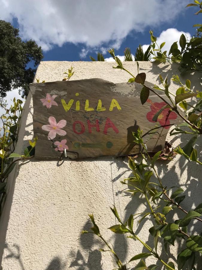 Villa Oha Close Cannes,Nice, Valbonne , Opio โรกฟอร์-เลส์-แปงส์ ภายนอก รูปภาพ